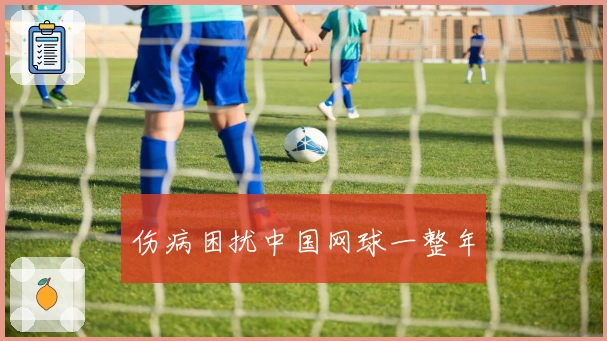 伤病困扰中国网球一整年