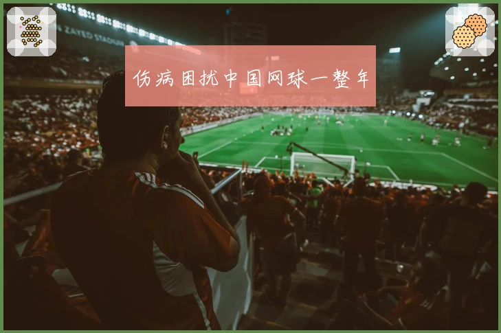 伤病困扰中国网球一整年